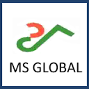 MS GLOBAL INDIA AUTOMOTIVE PVT LTD